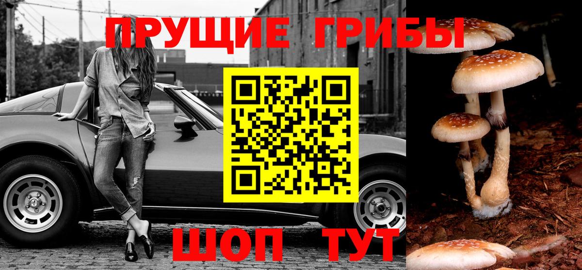 Псилоцибиновые грибы ЛСД Узловая